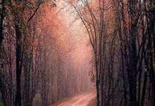 欧洲国家联赛的最新赛程比分情况是怎样的？